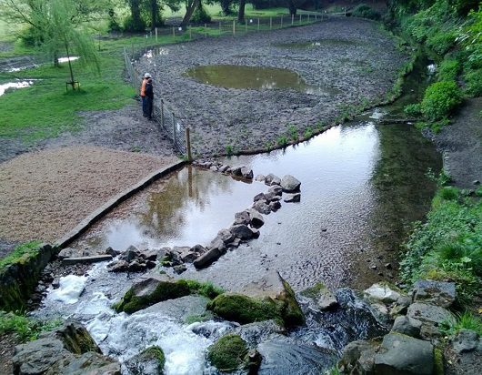 River restoration with coir