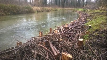 River Itchen Terraqua Case Study Faggots